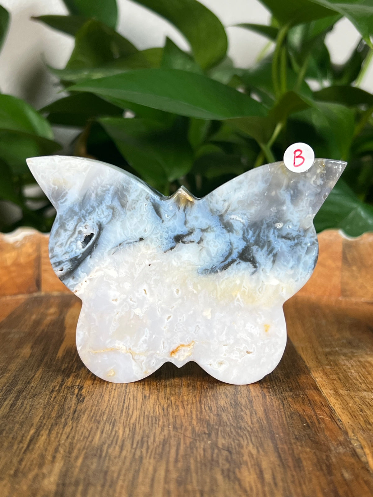 Rainbow Plume Agate Butterflies