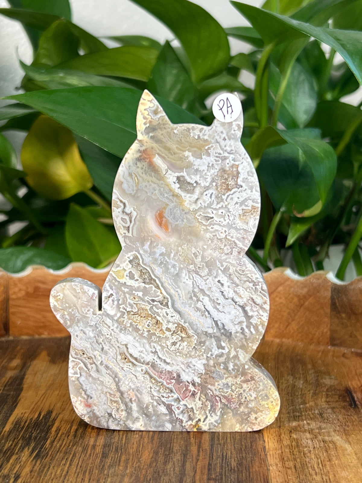 Sumatra Plume Agate Cats