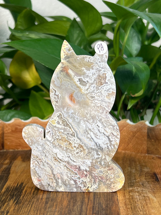 Sumatra Plume Agate Cats