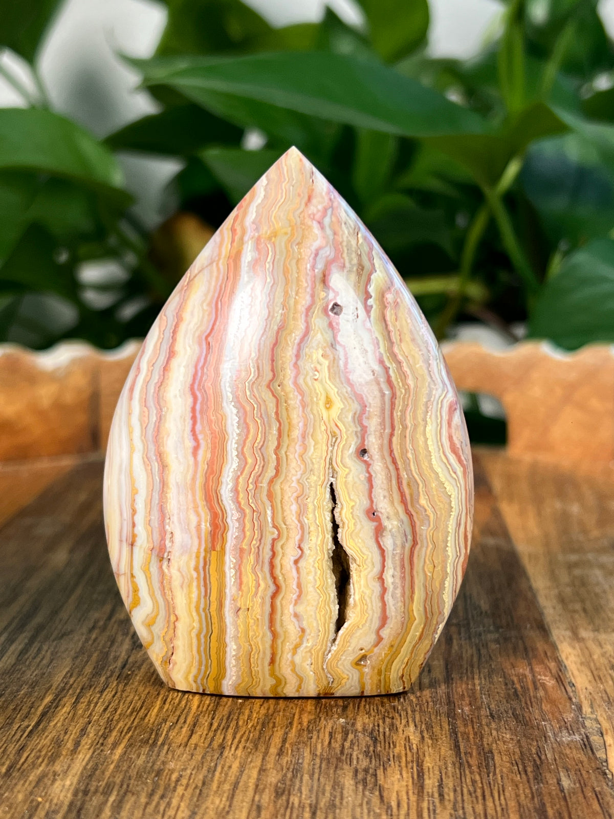 Crazy Lace Agate Flames
