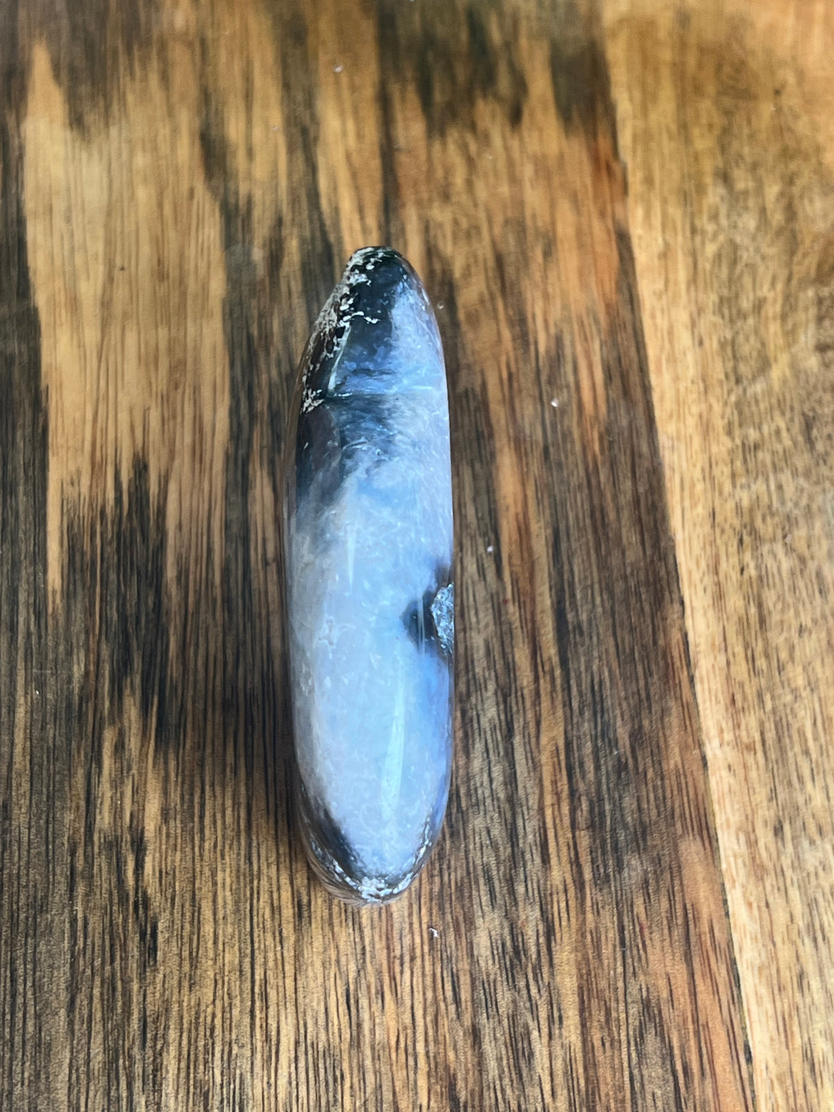 Blue Plume Agate Buffalo: BC