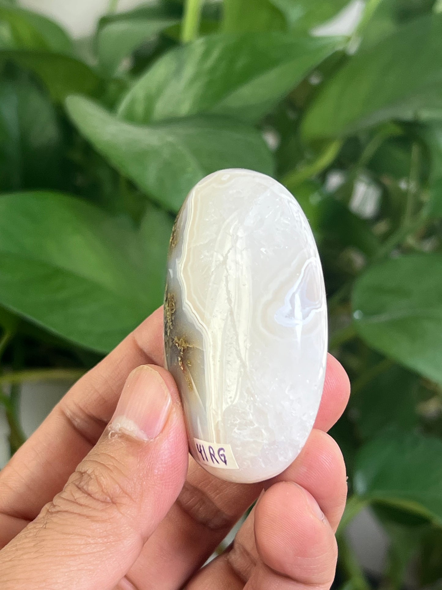 Scenic Moss Agate Palmstone: RG
