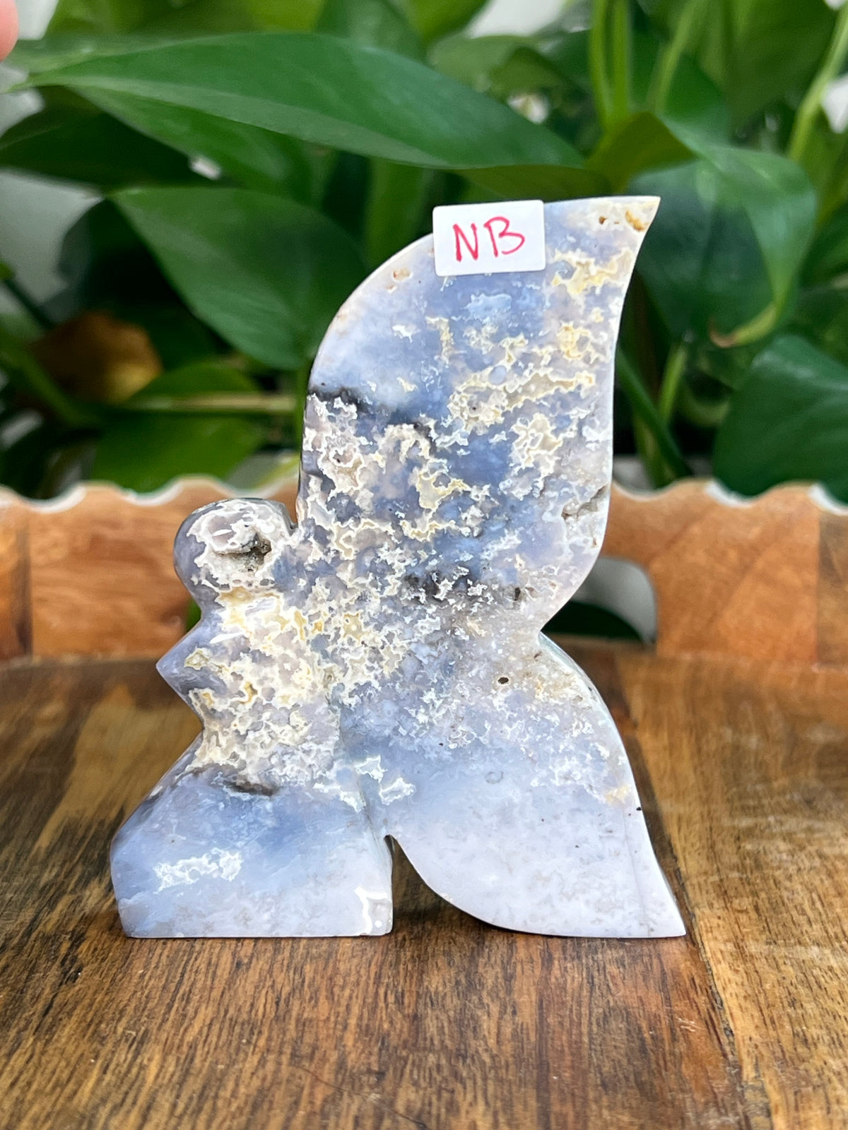 Blue Plume Agate Fairies