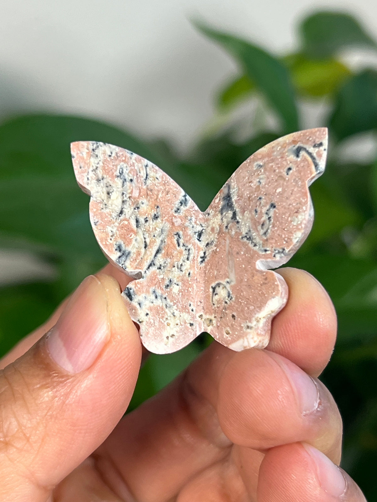 Peachy Pink Dendritic Jasper Mini 3D Butterflies