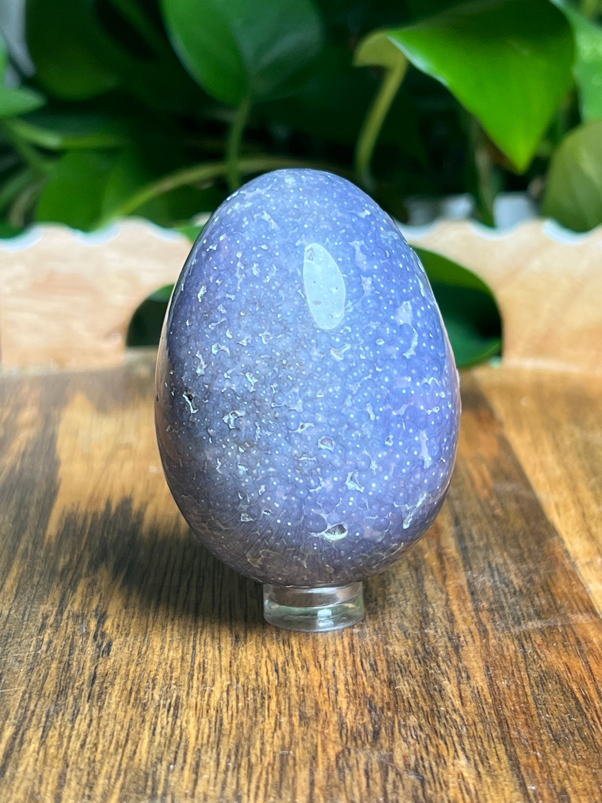 Grape Agate Egg: NC
