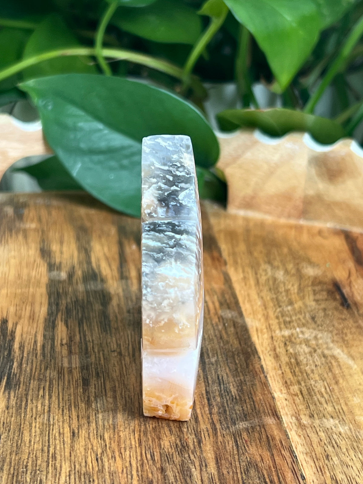Rainbow Plume Agate Flower: PB