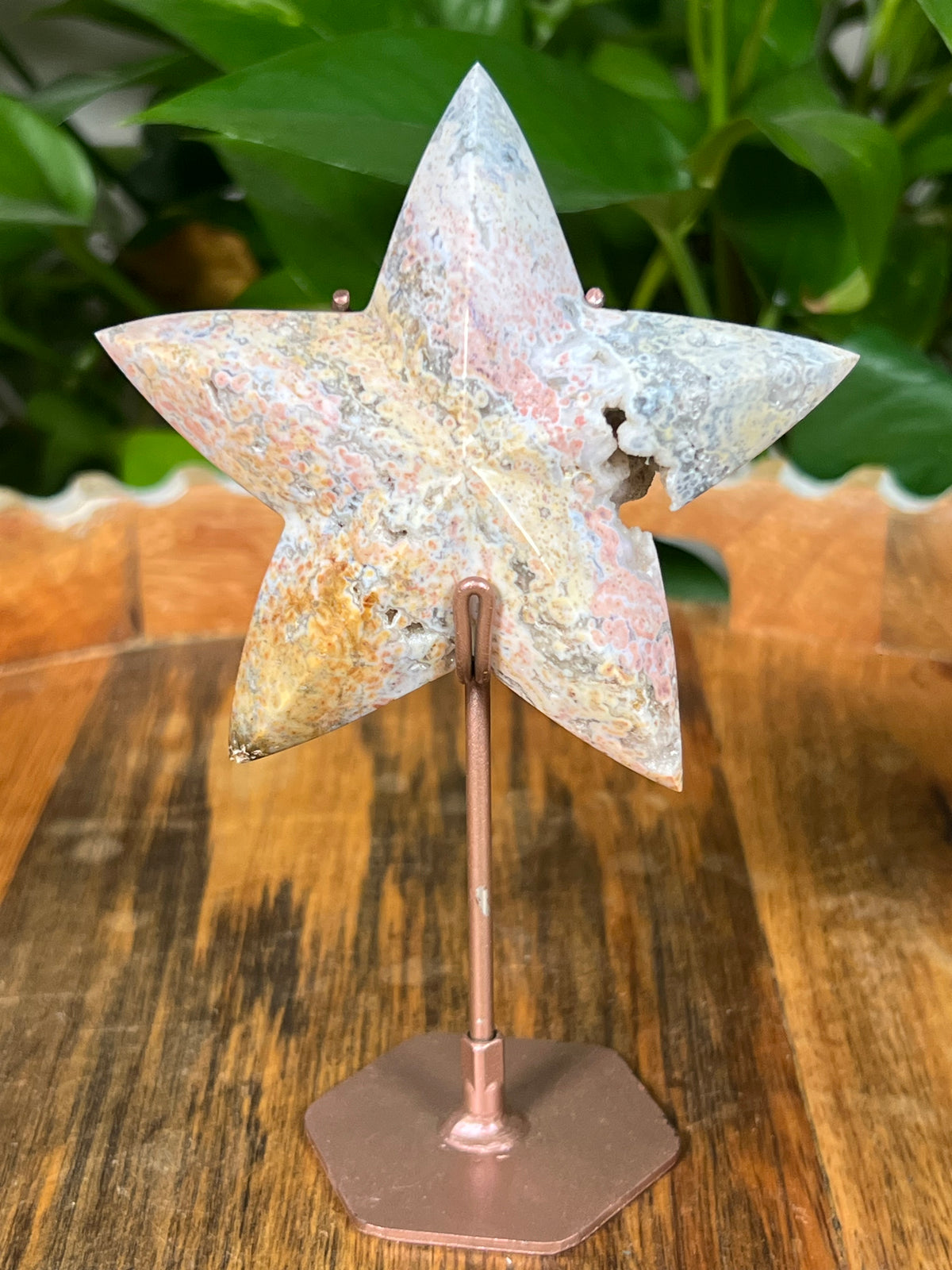 Sea Jasper Stars