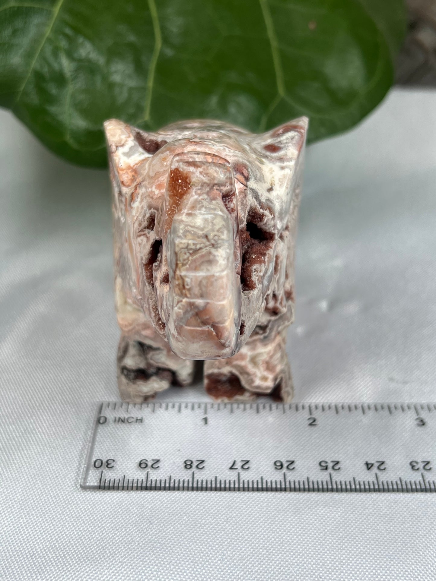 Crazy Lace Agate Elephant