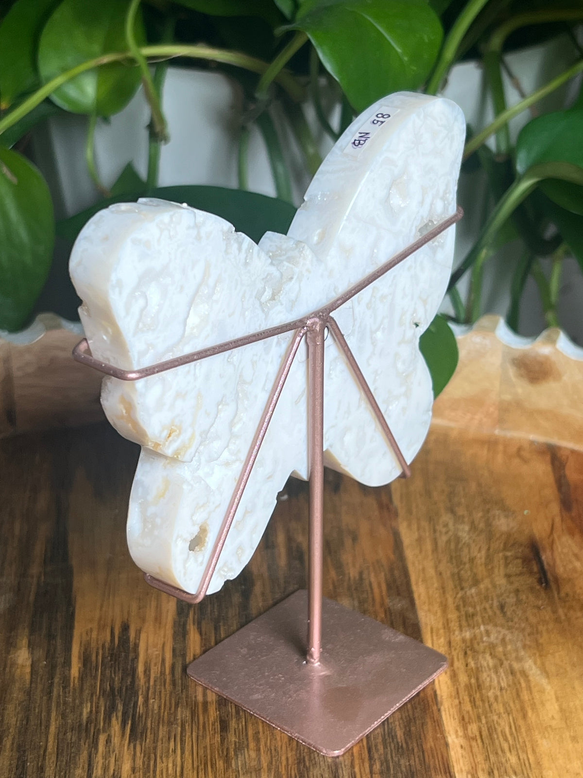 White Plume Agate Butterfly: NB