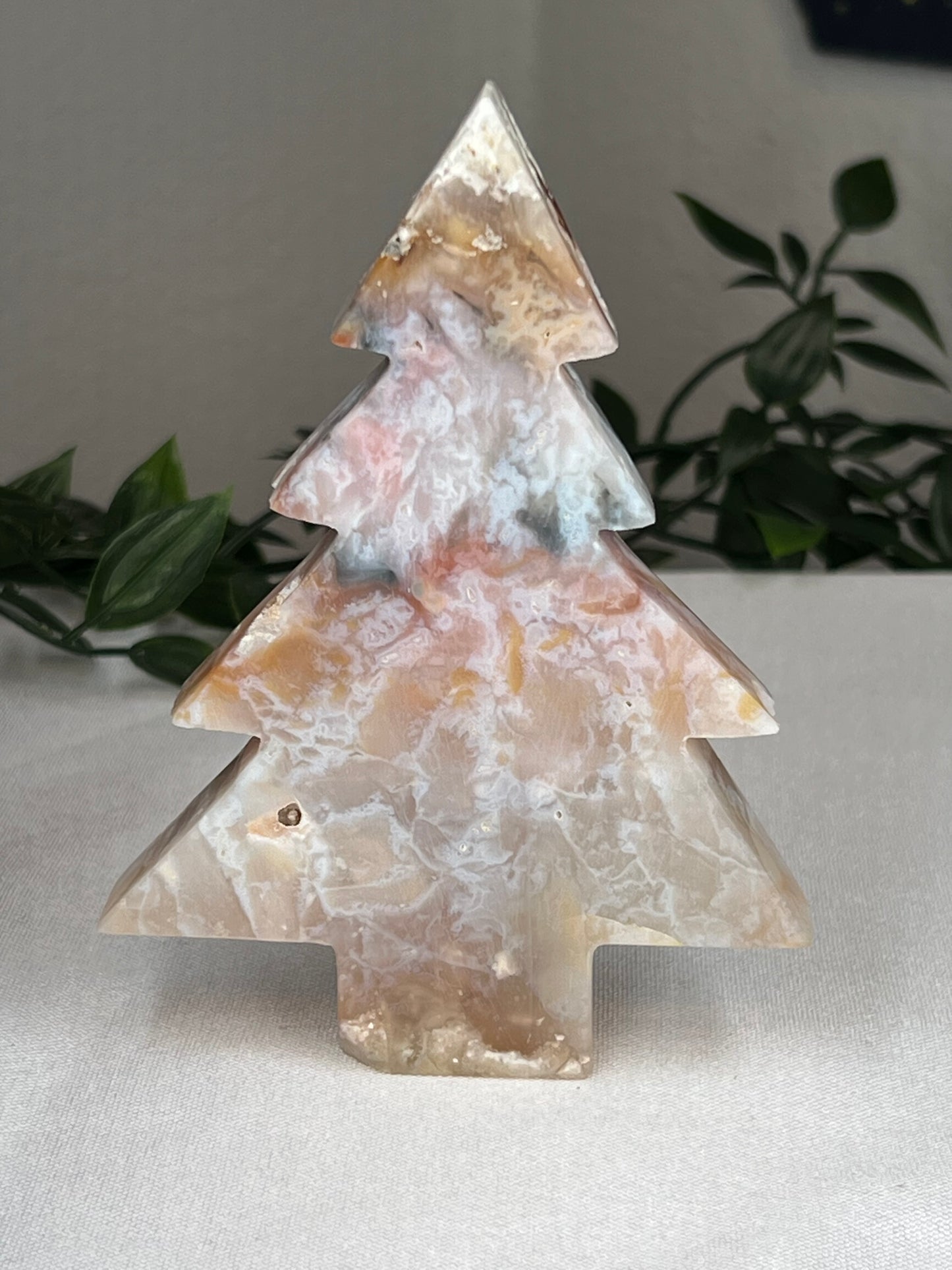 Rainbow Plume Agate Tree