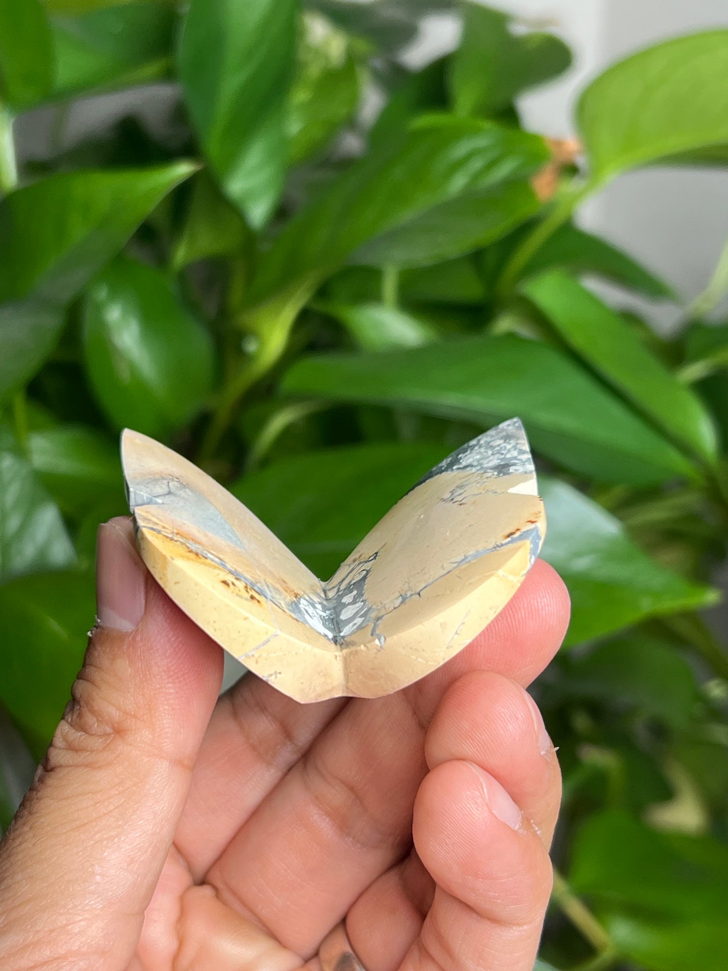 Maligano 3D Butterfly: BK
