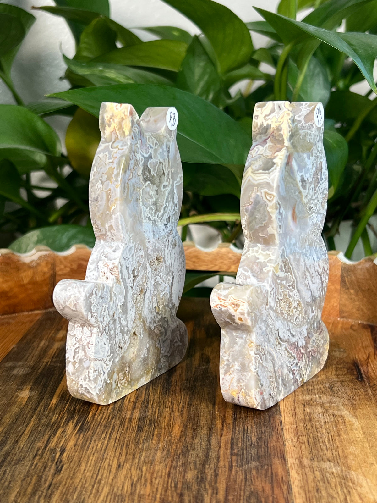 Sumatra Plume Agate Cats