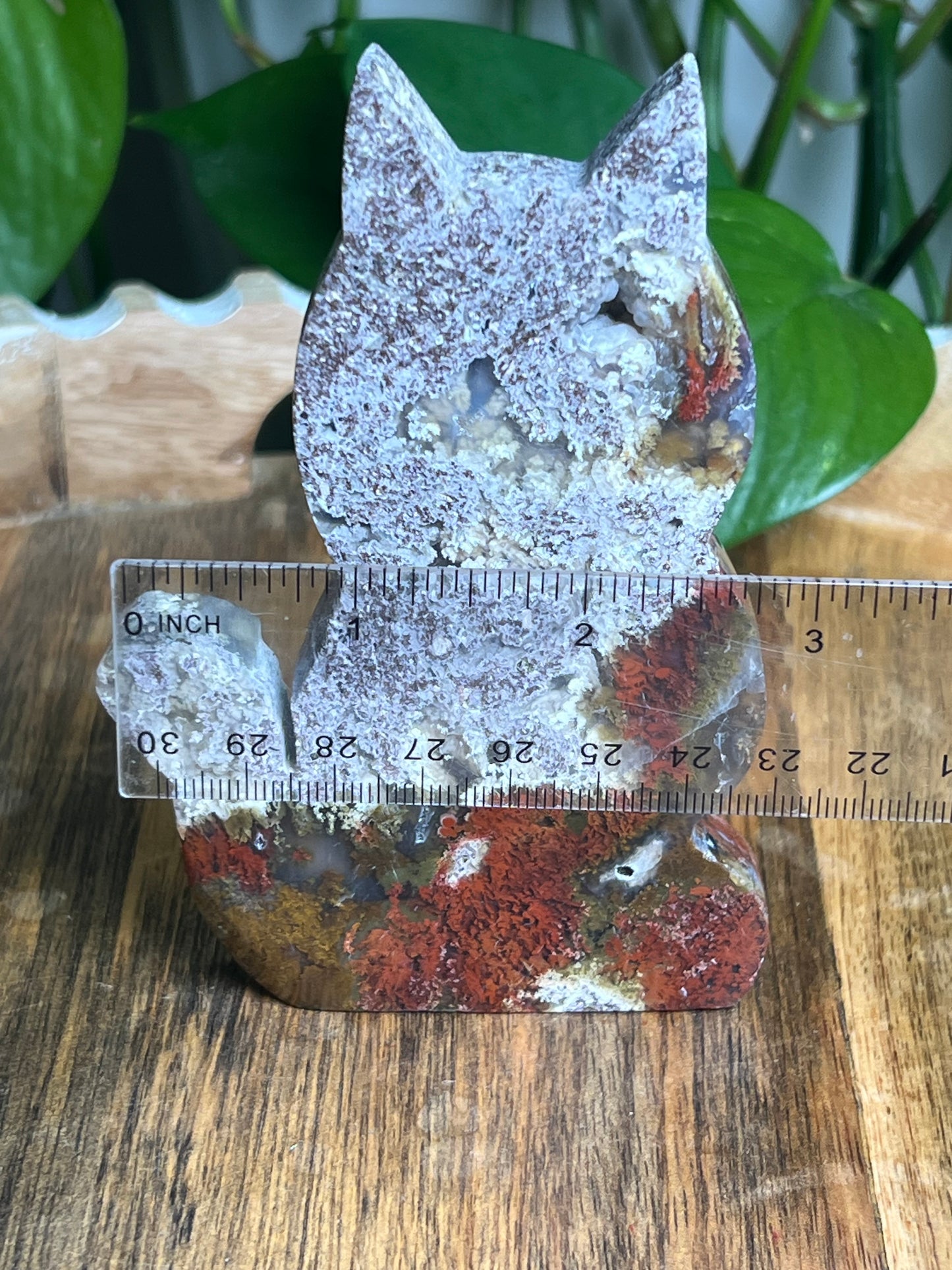 Scenic Moss Agate Cat: AP