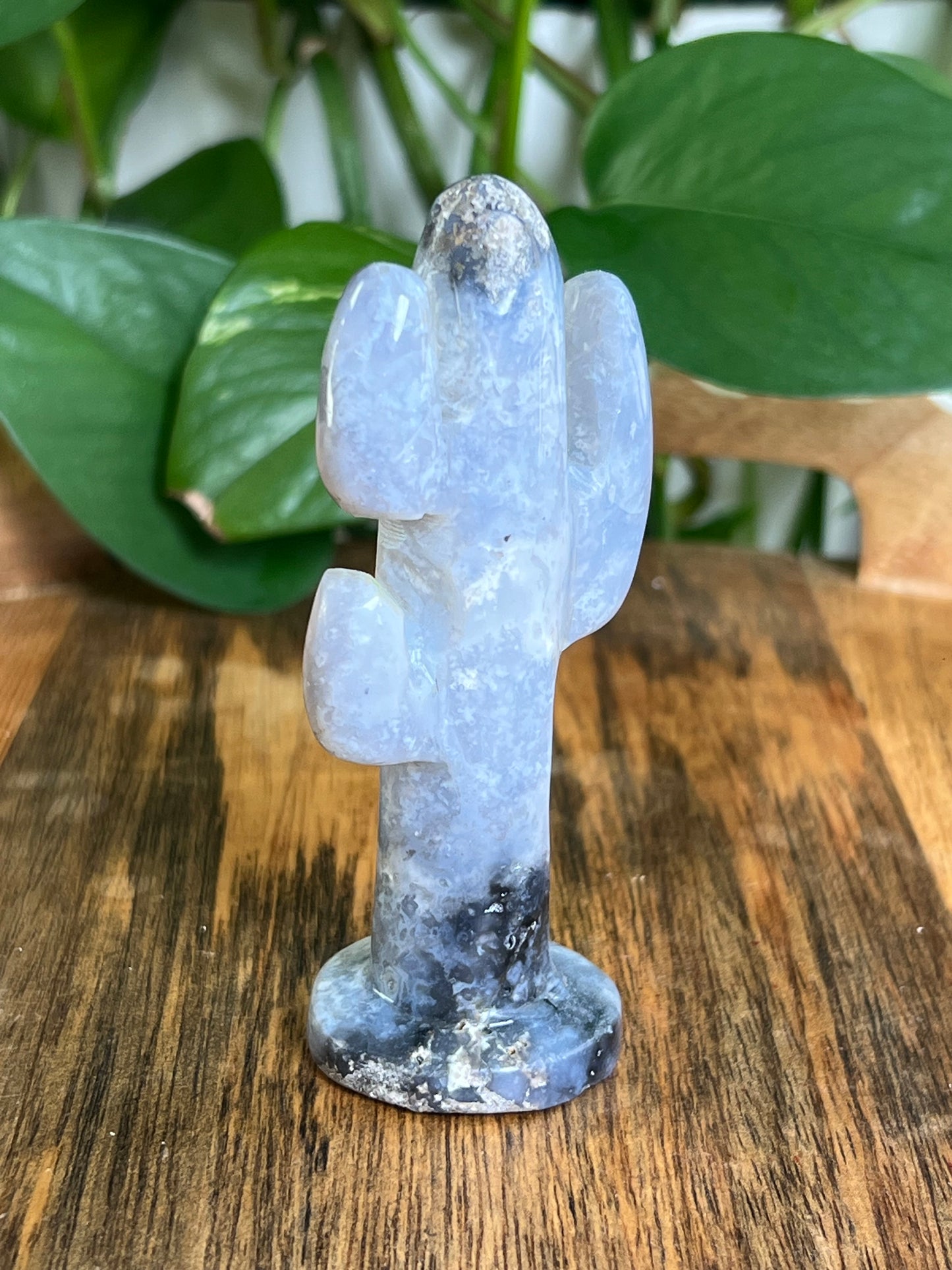 Blue Plume Agate Cactus: CC