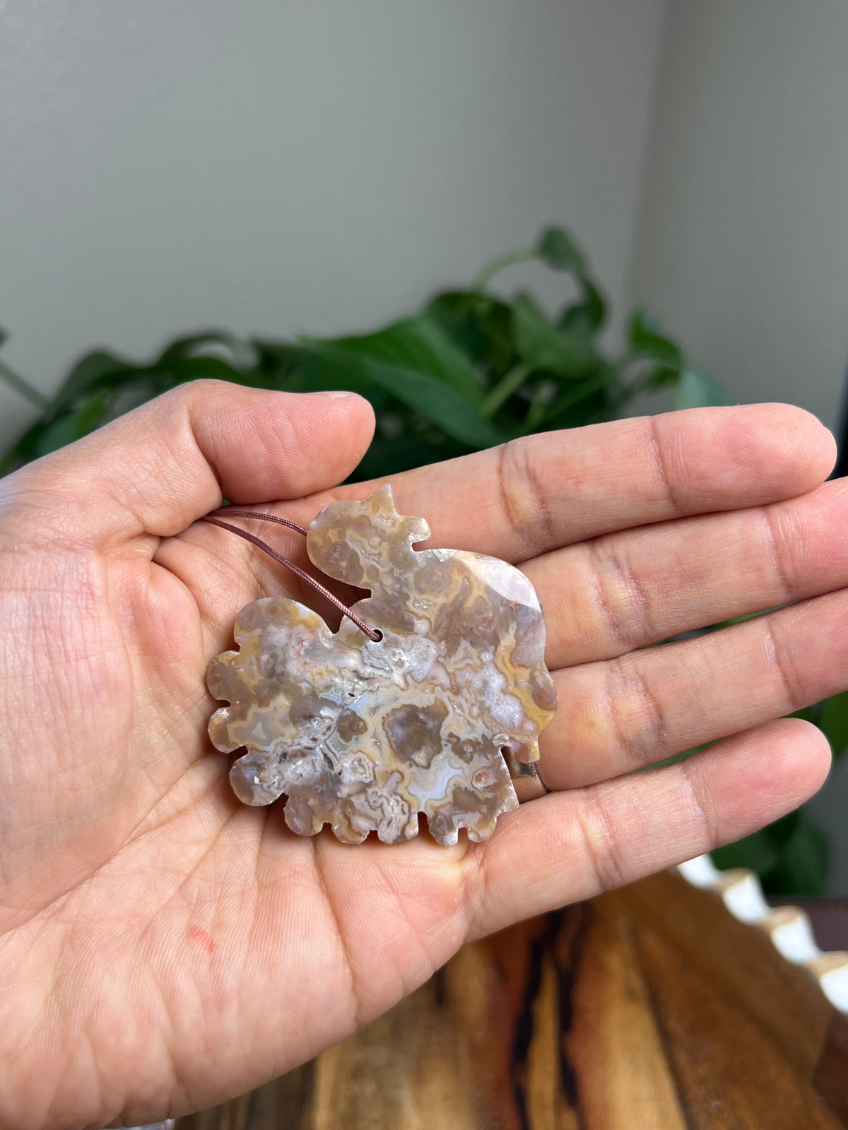 Sumatra Plume Agate Turkey Ornaments