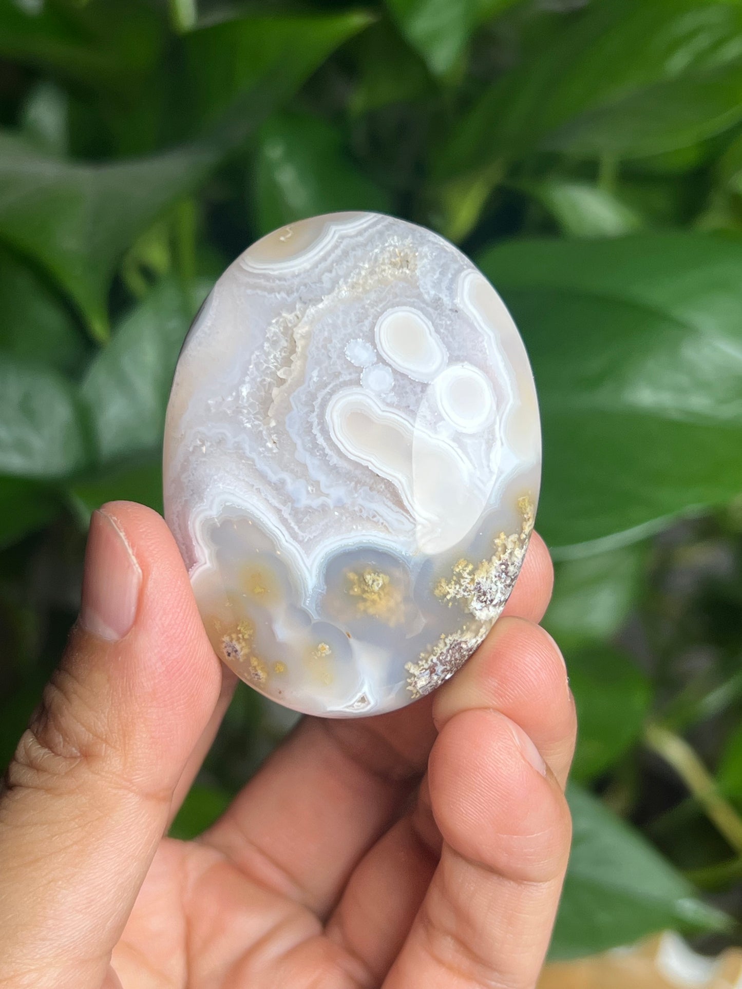 Scenic Moss Agate Palmstone: BX