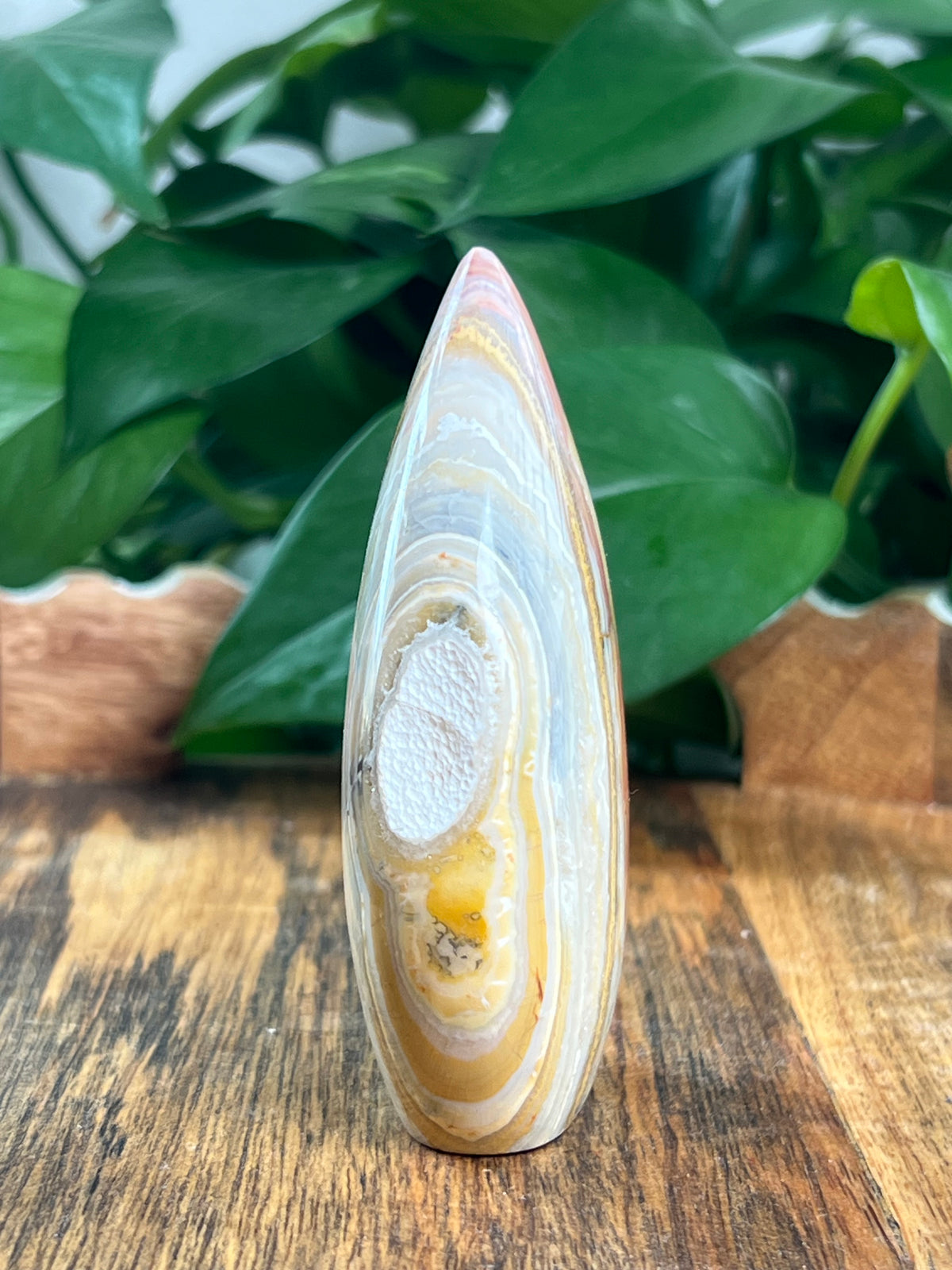 Crazy Lace Agate Flame: EK