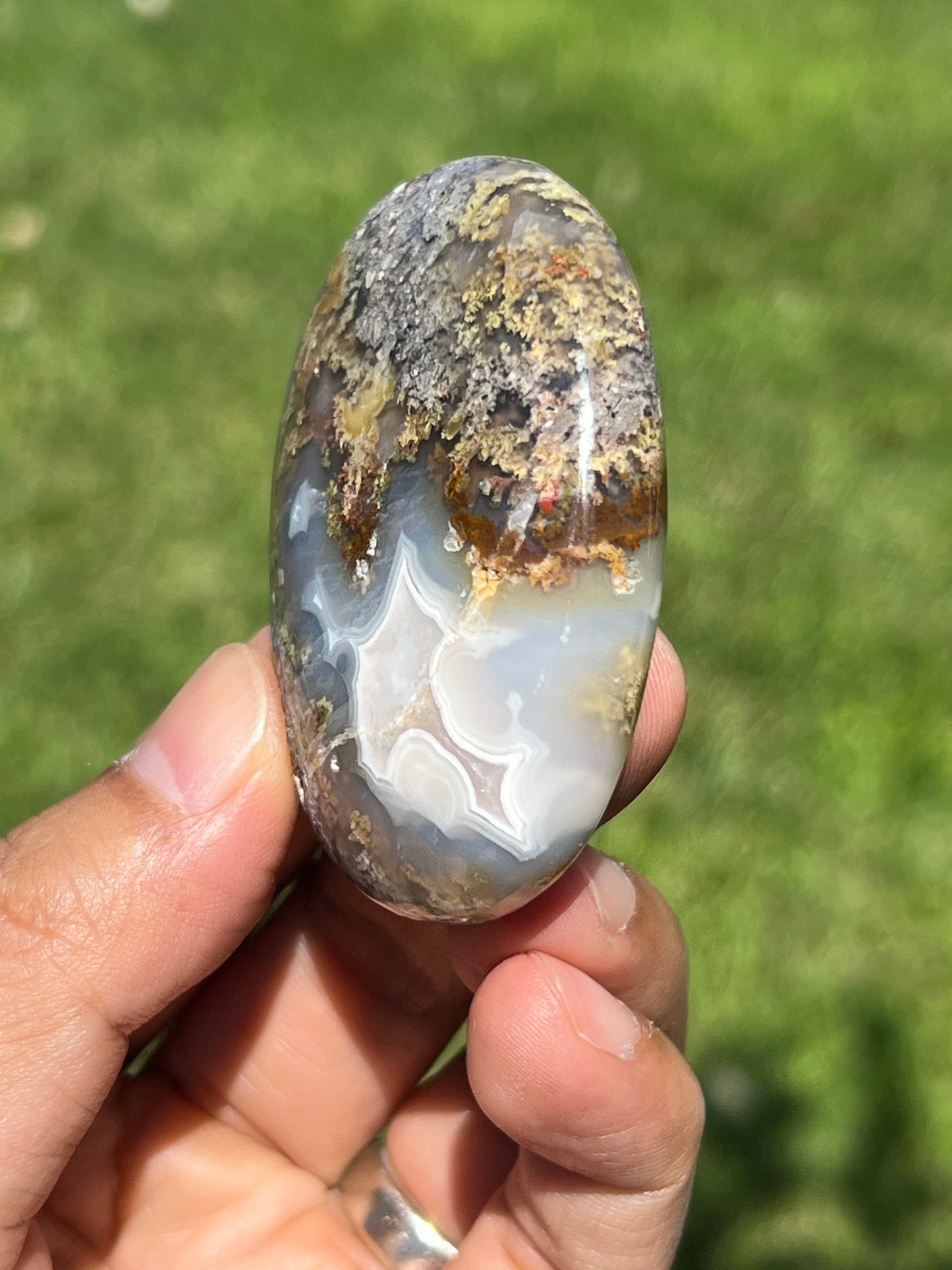 Scenic Moss Agate Palmstone BX