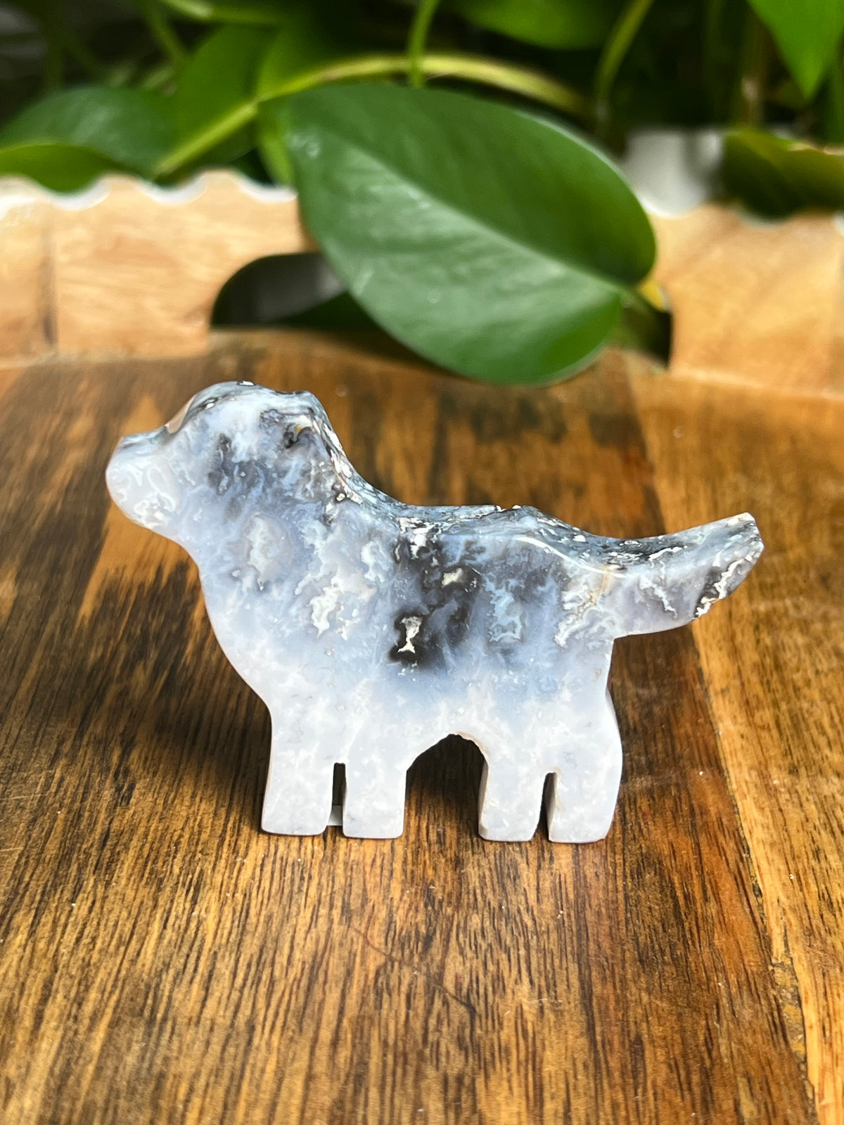 Blue Plume Agate Dog: Bi