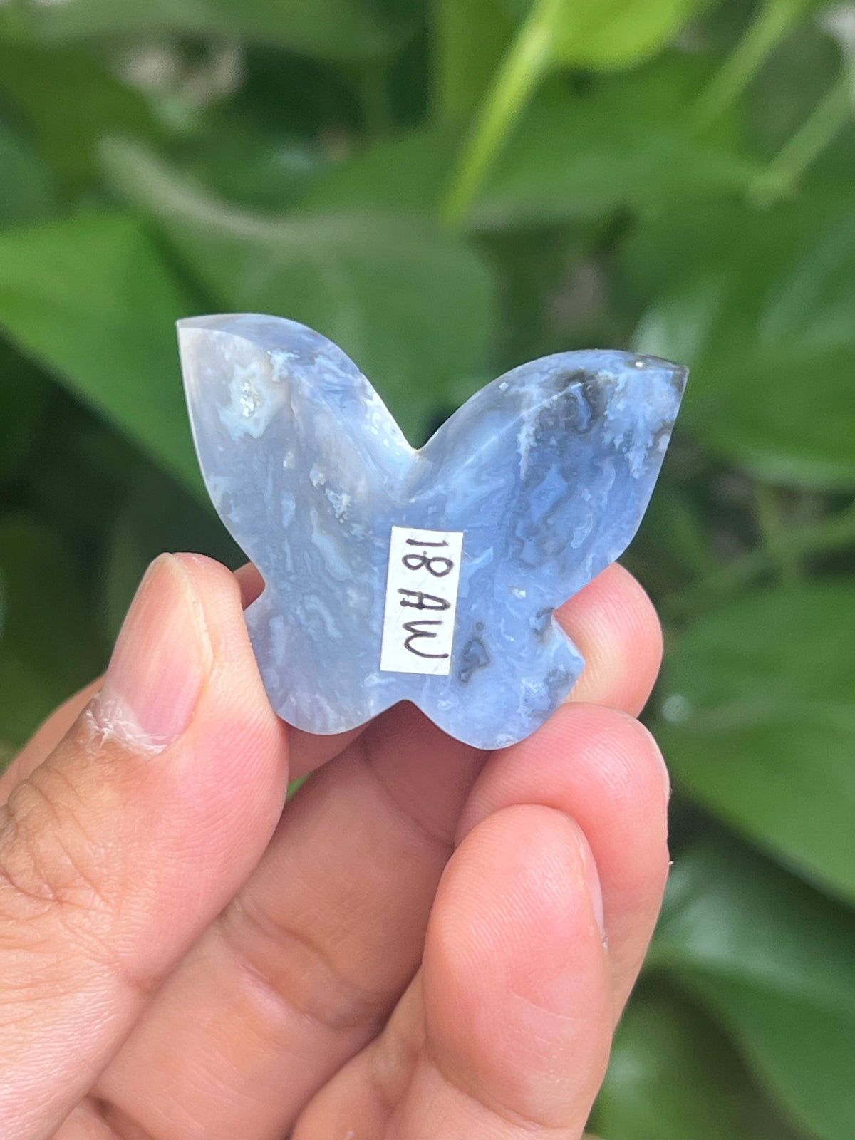 Blue Plume Agate 3D Butterfly: AW