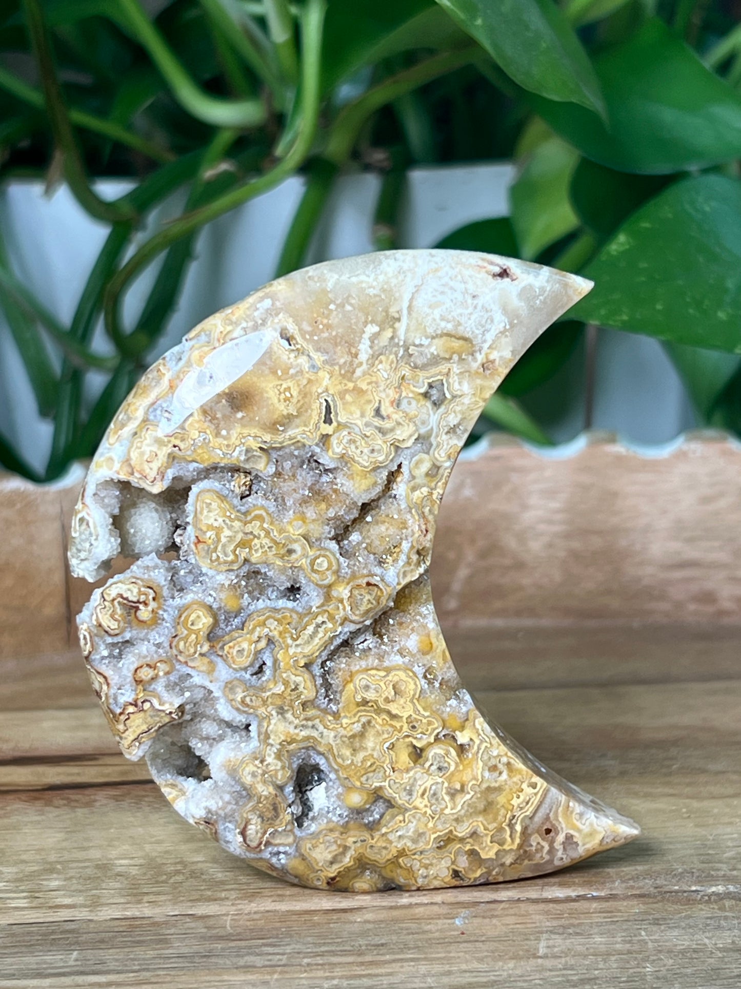 Crazy Lace Agate Moon
