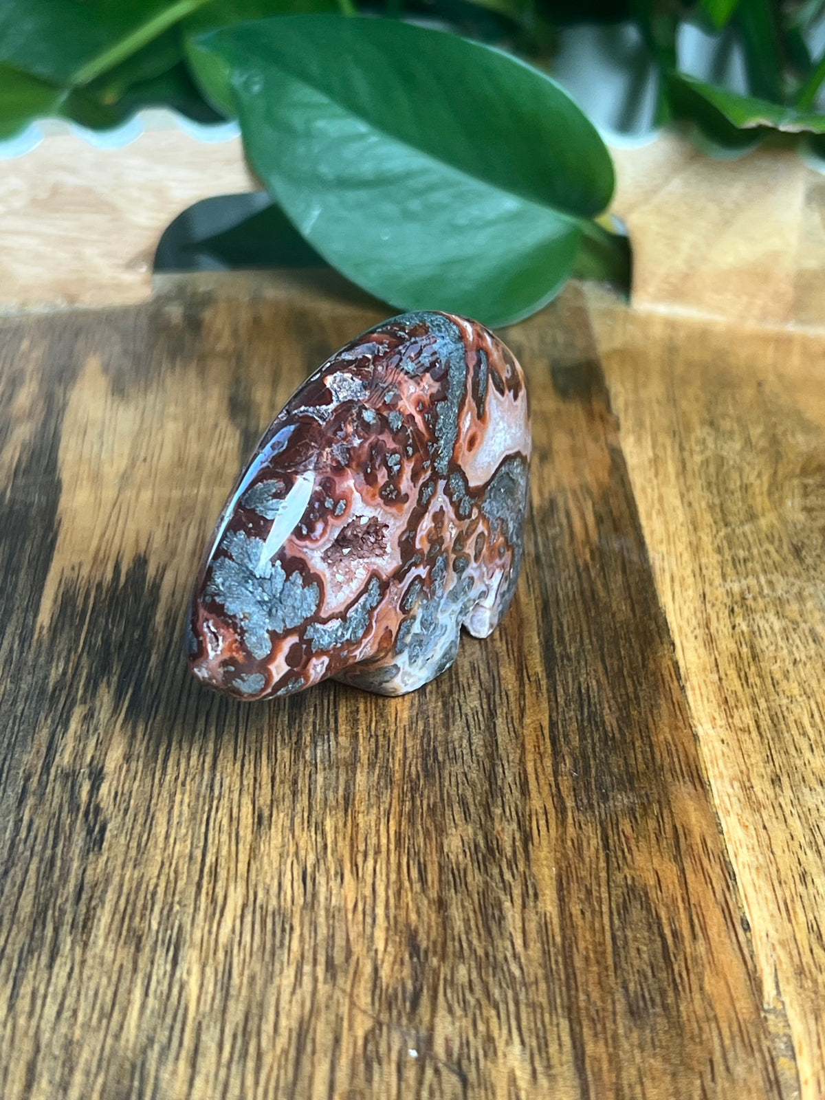 Marcasite Bear: PB