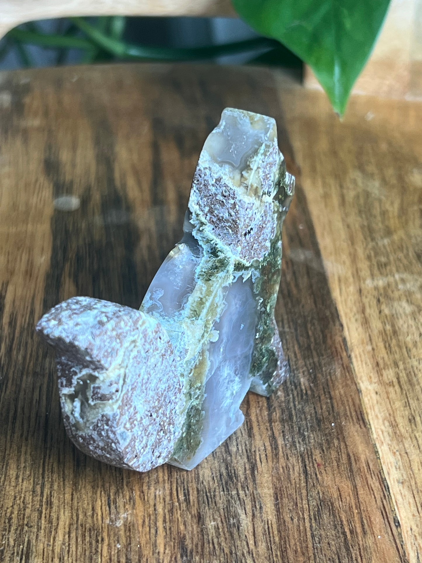 Scenic Moss Agate Fox PE