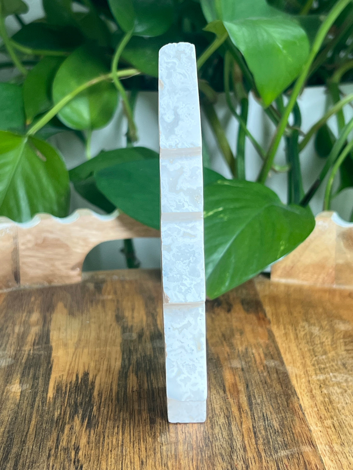 White Plume Agate Tree: CC