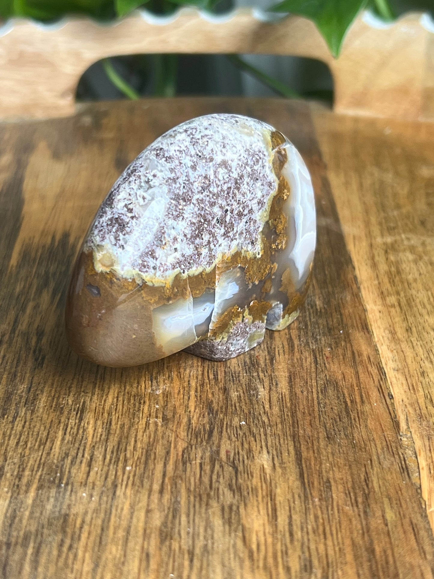 Scenic Moss Agate Bear BK