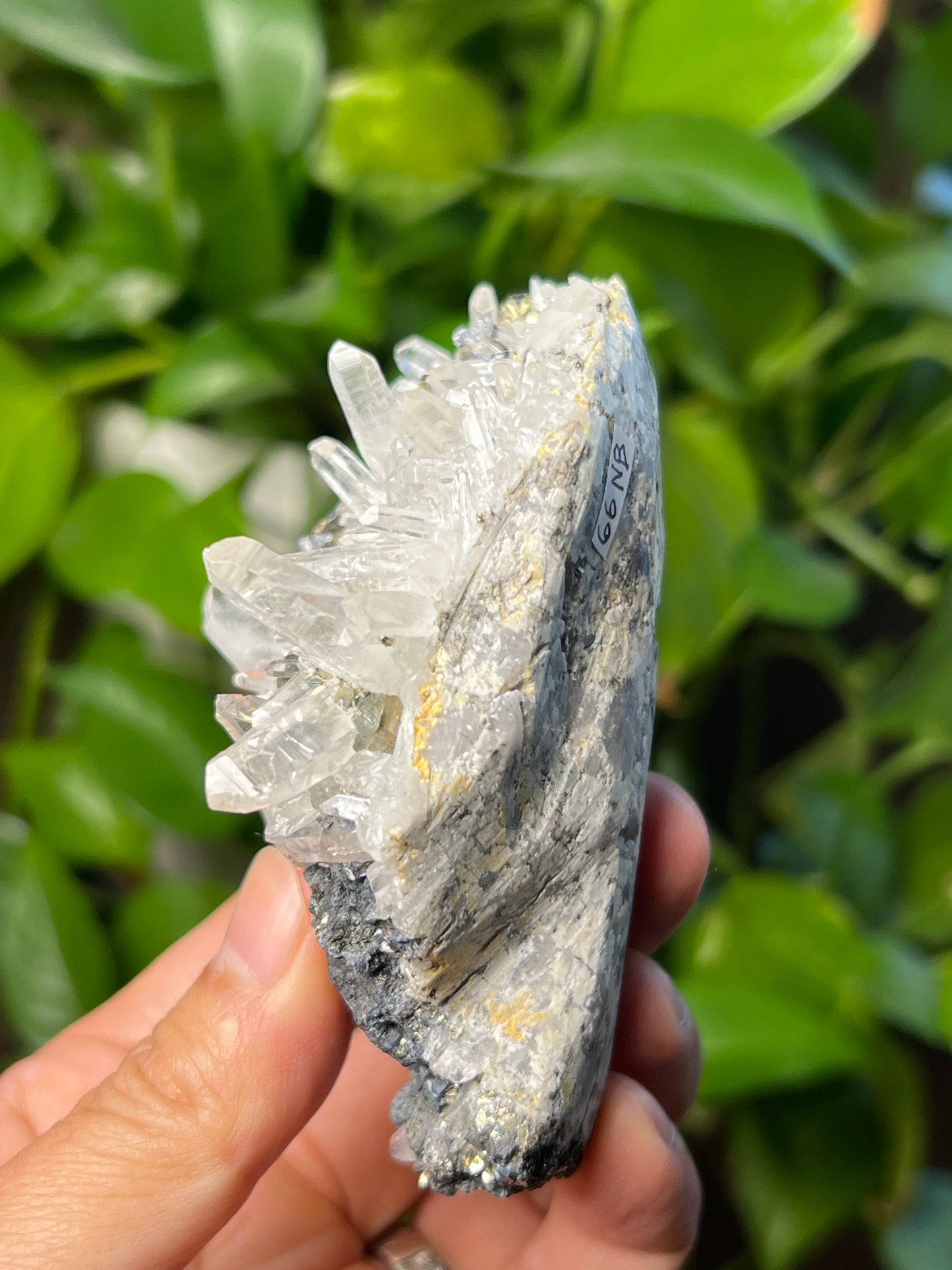 Rainbow Pyrite Quartz