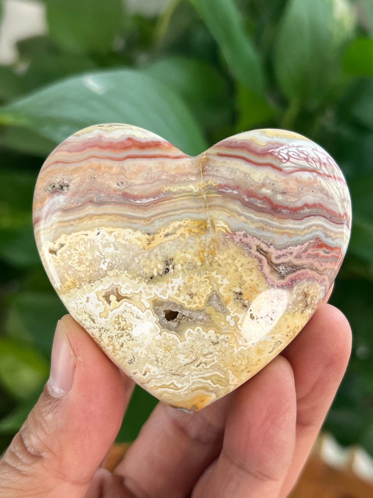 Crazy Lace Agate Small Puffy Moons