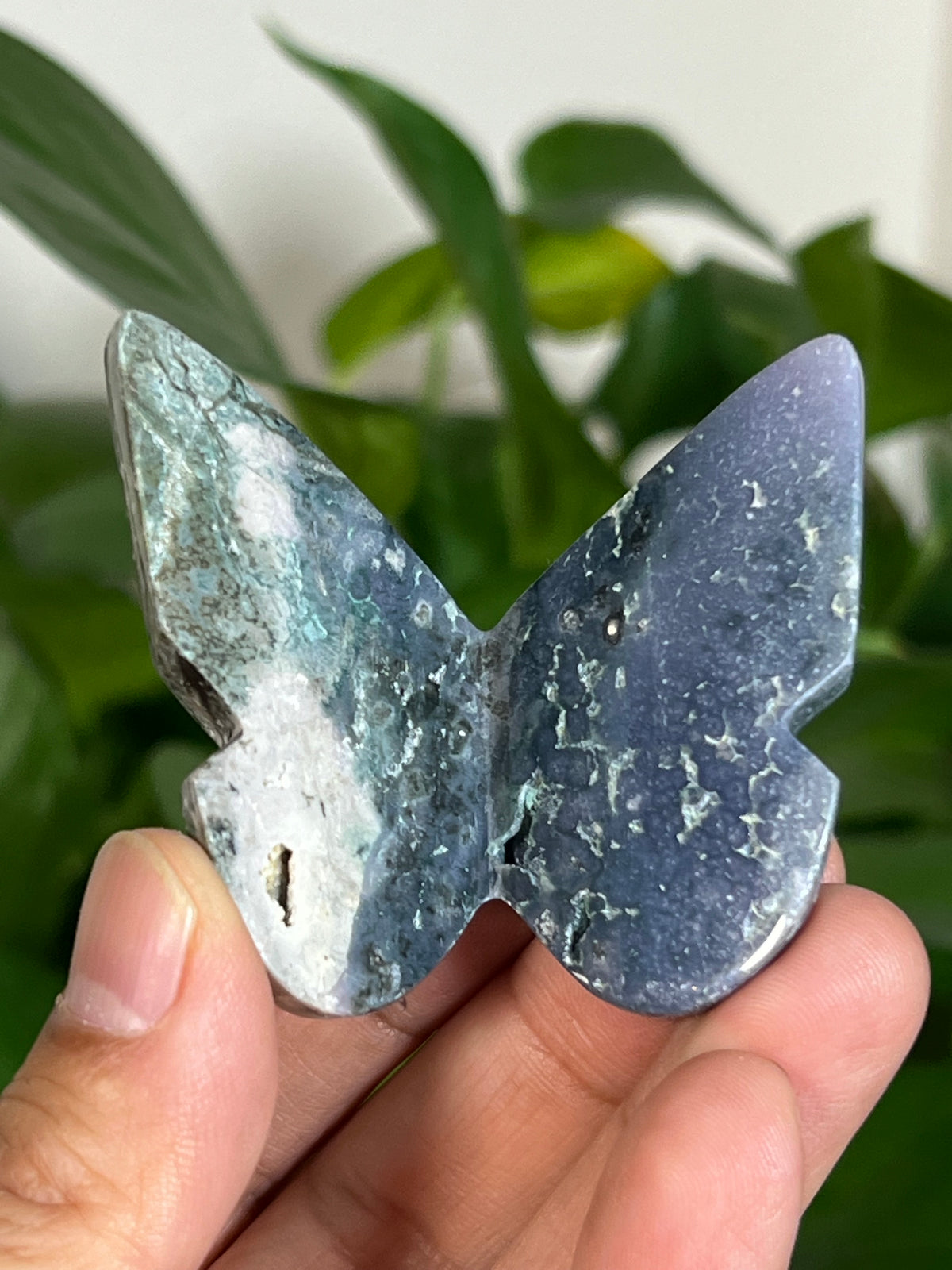 Grape Agate 3D Butterflies