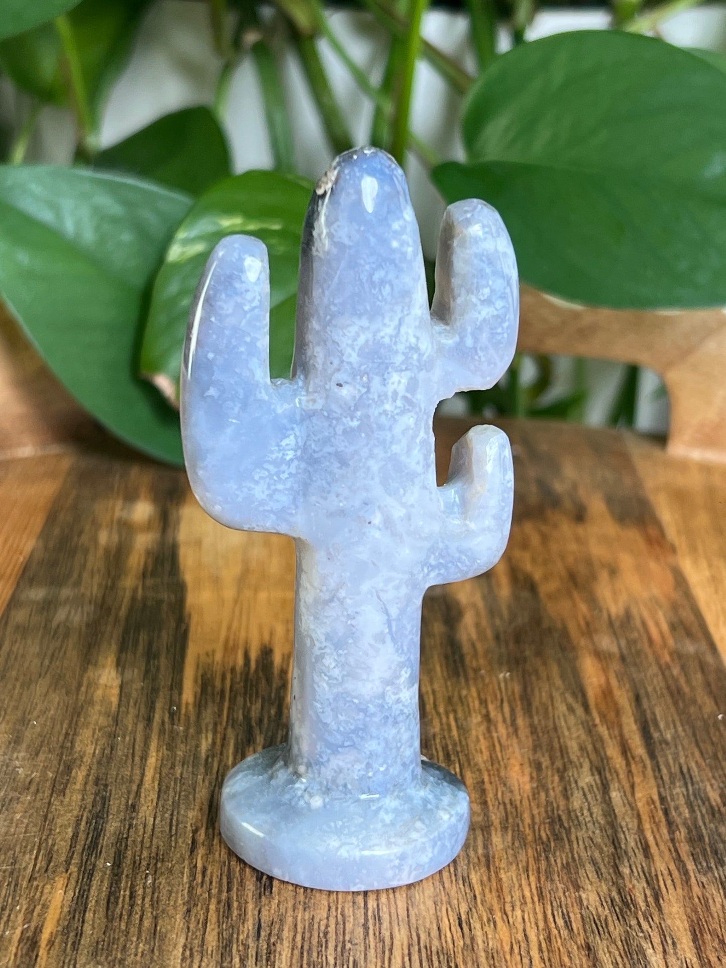 Blue Plume Agate Cactus: CC