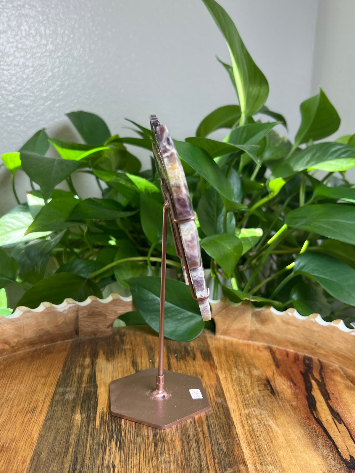 Indonesian Amethyst Wings : SR
