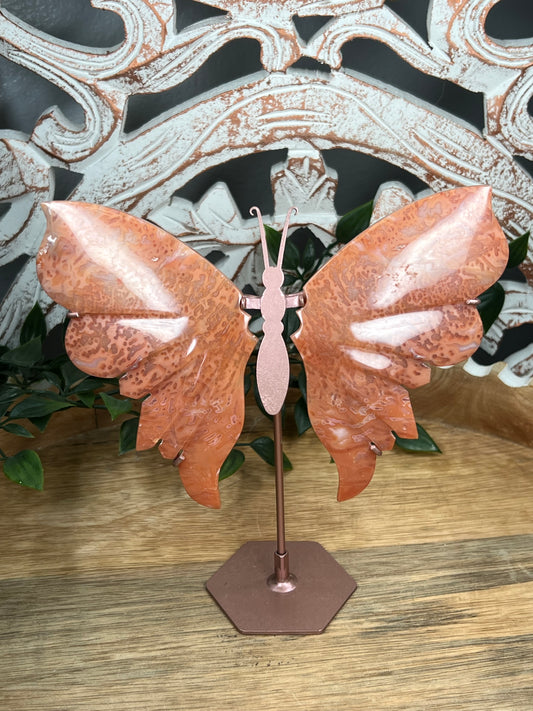 Carnelian Wings