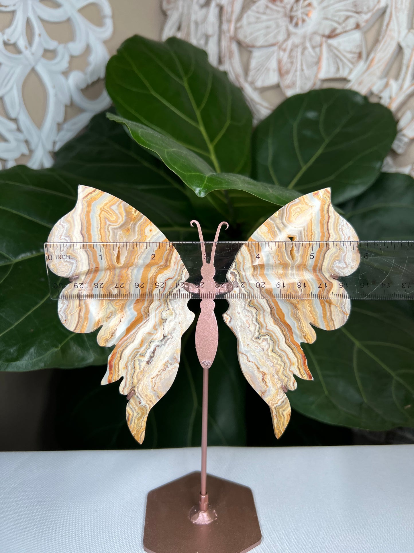 Crazy Lace Agate Wings