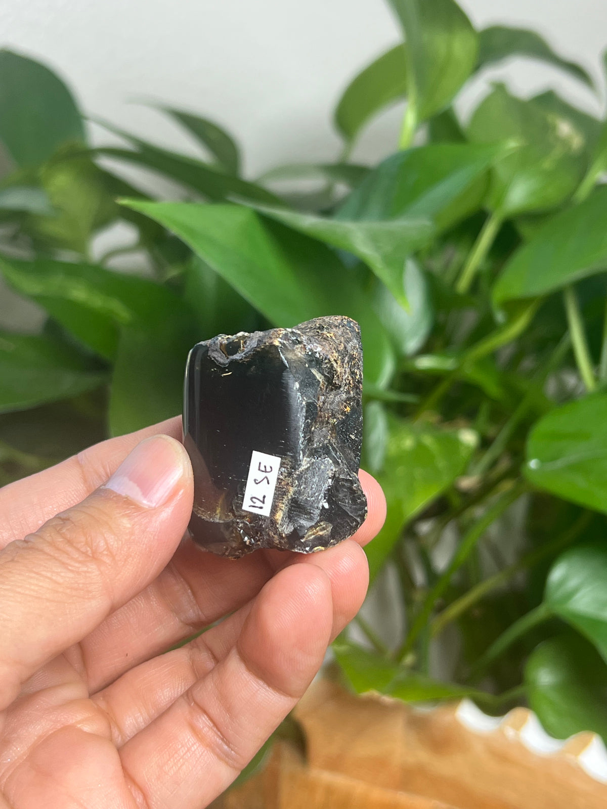 Blue Amber Freeform: SE