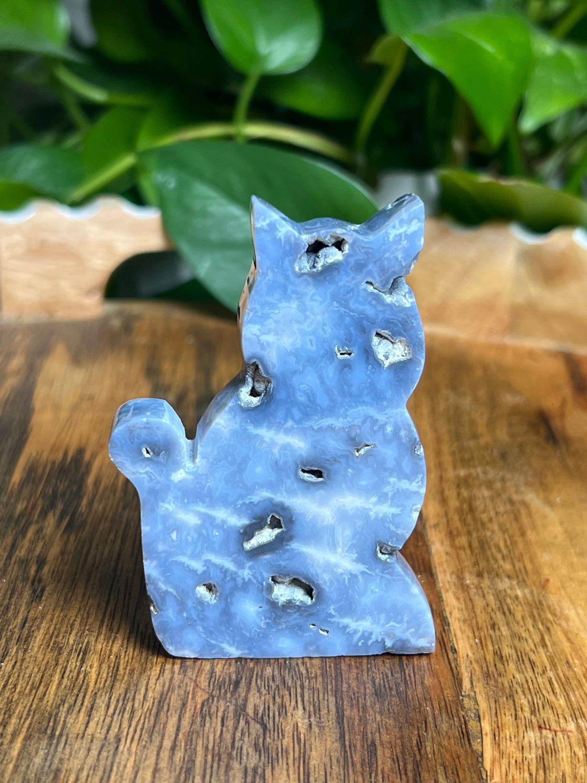 Blue Plume Agate Cat: BA