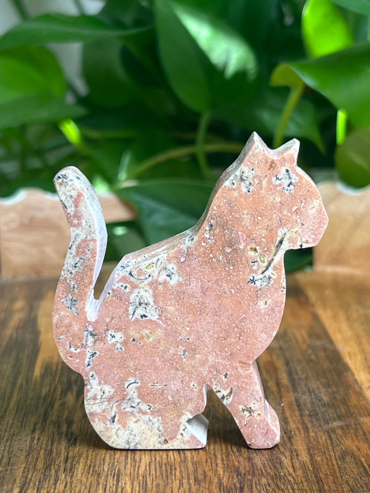 Dendritic Jasper Cat: KA