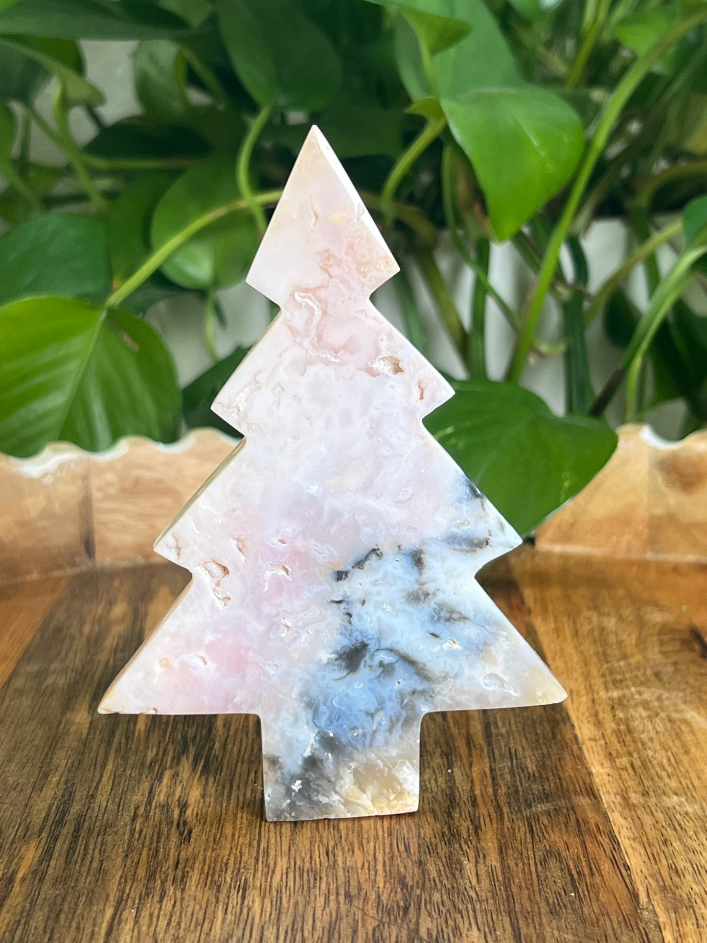 Rainbow Plume Agate Tree: DC