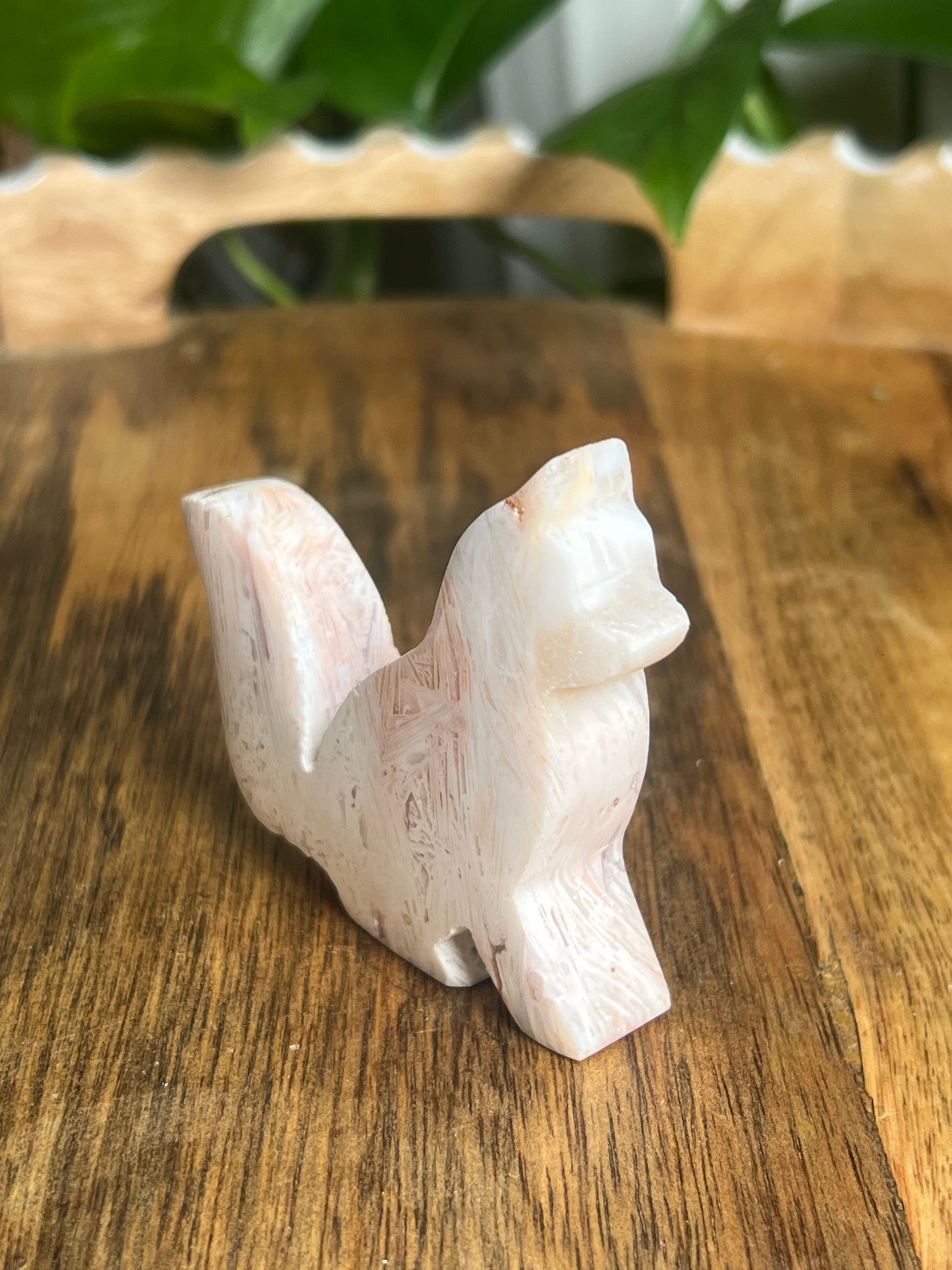 Tube Agate Fox BE