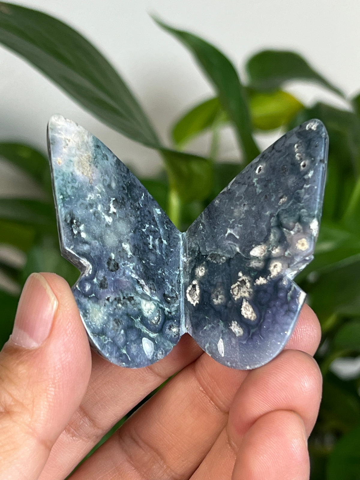 Grape Agate 3D Butterflies