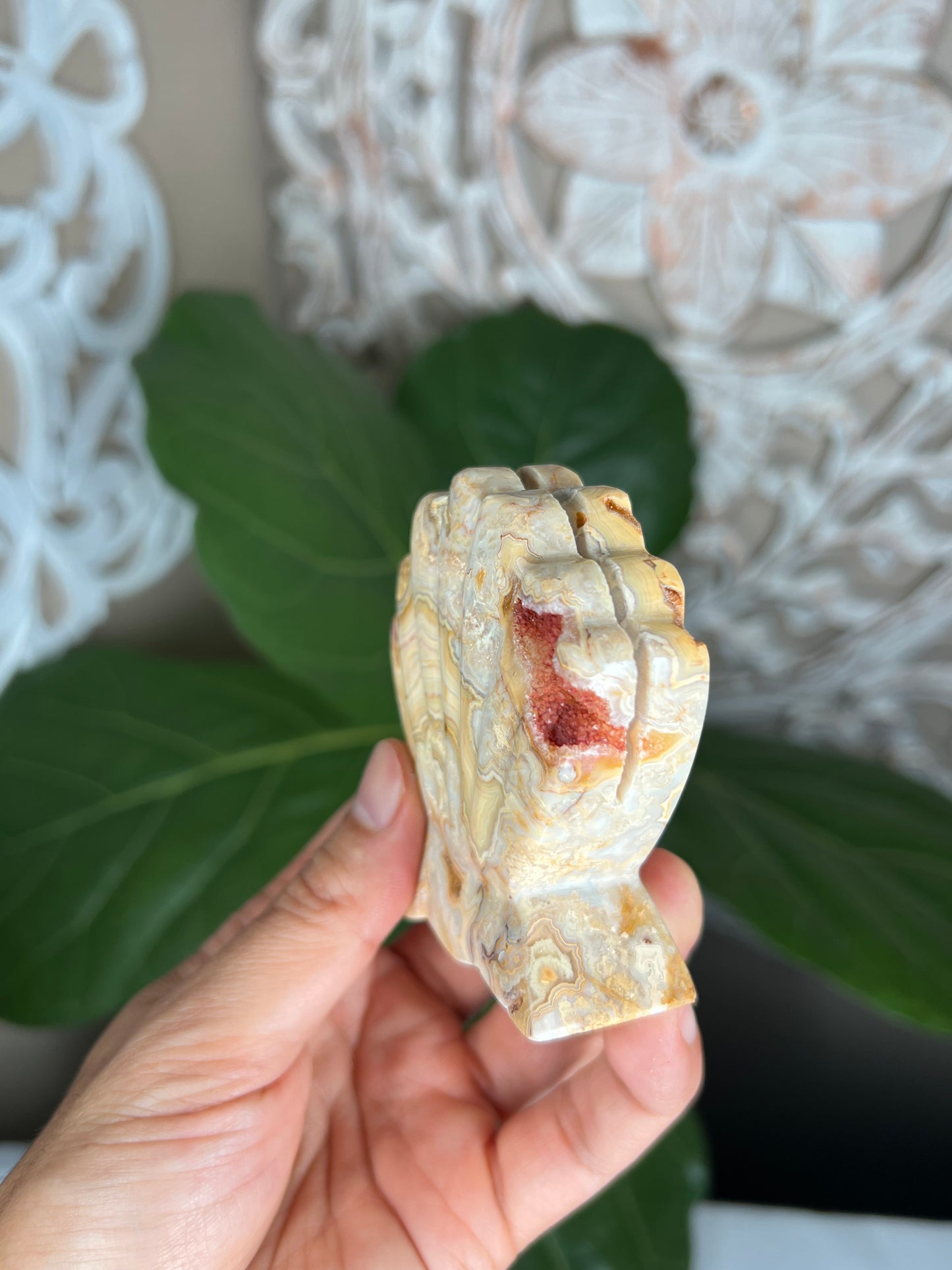 Crazy Lace Agate Shell