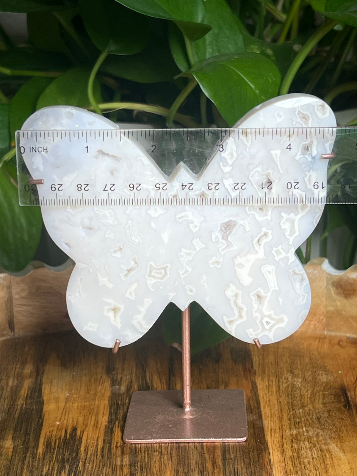 White Plume Agate Butterfly: PN
