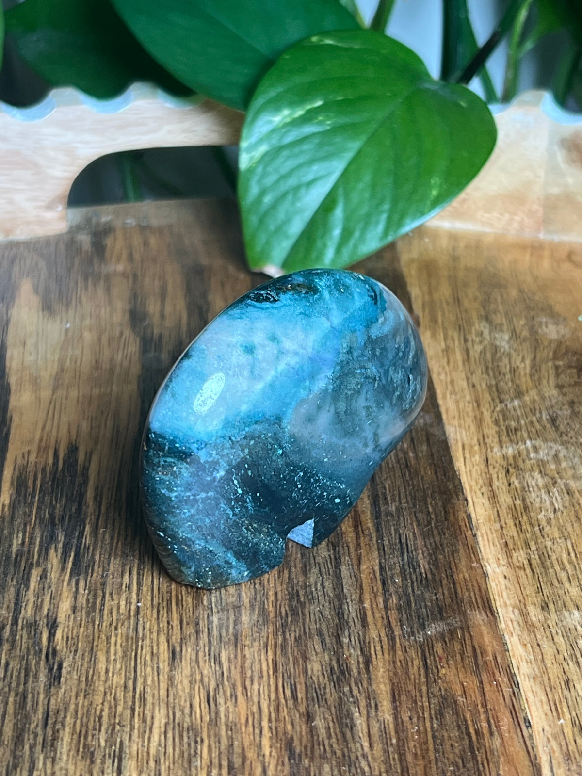 Blue Green Jasper Bear: BV