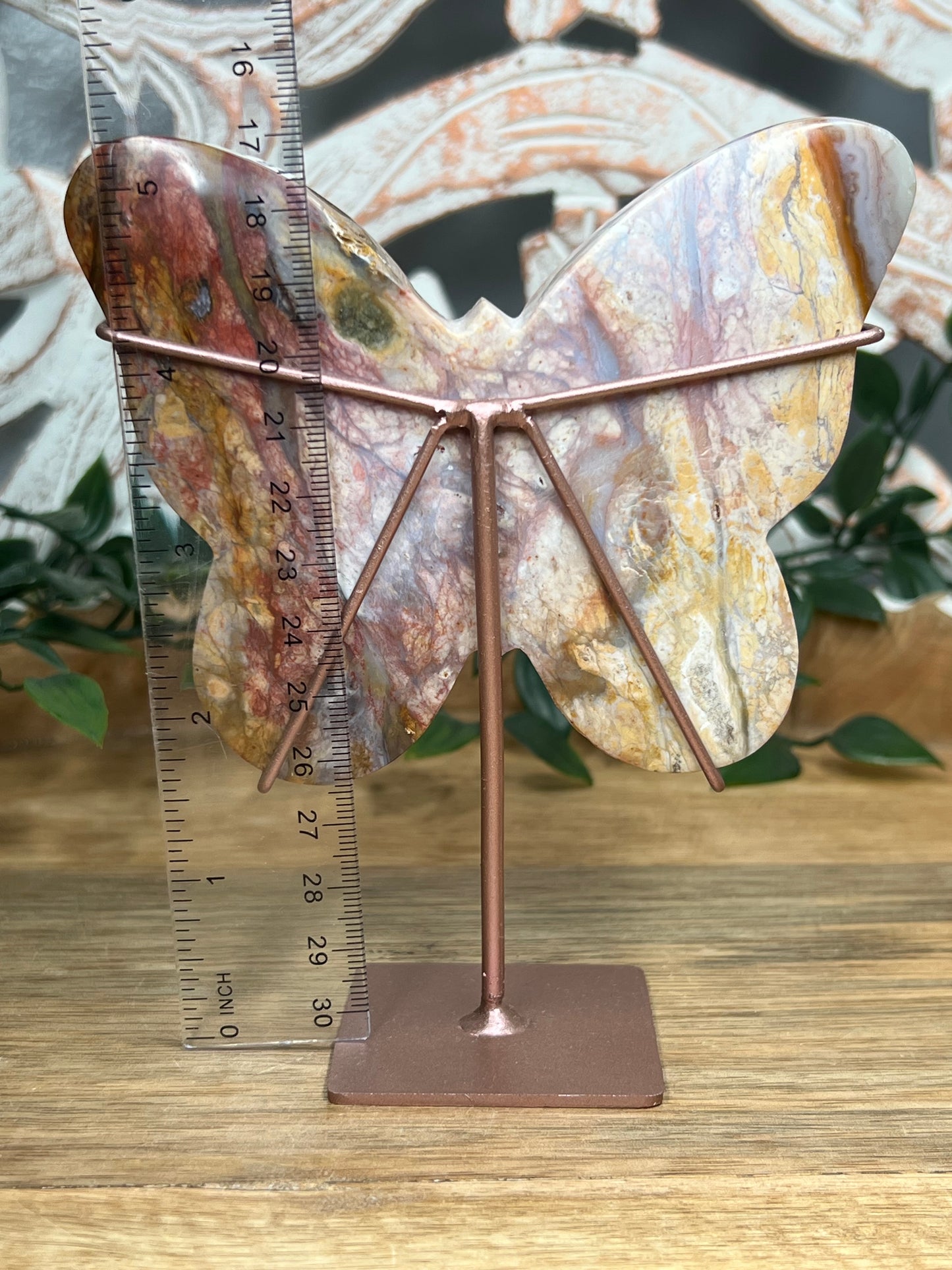 River Jasper Butterfly