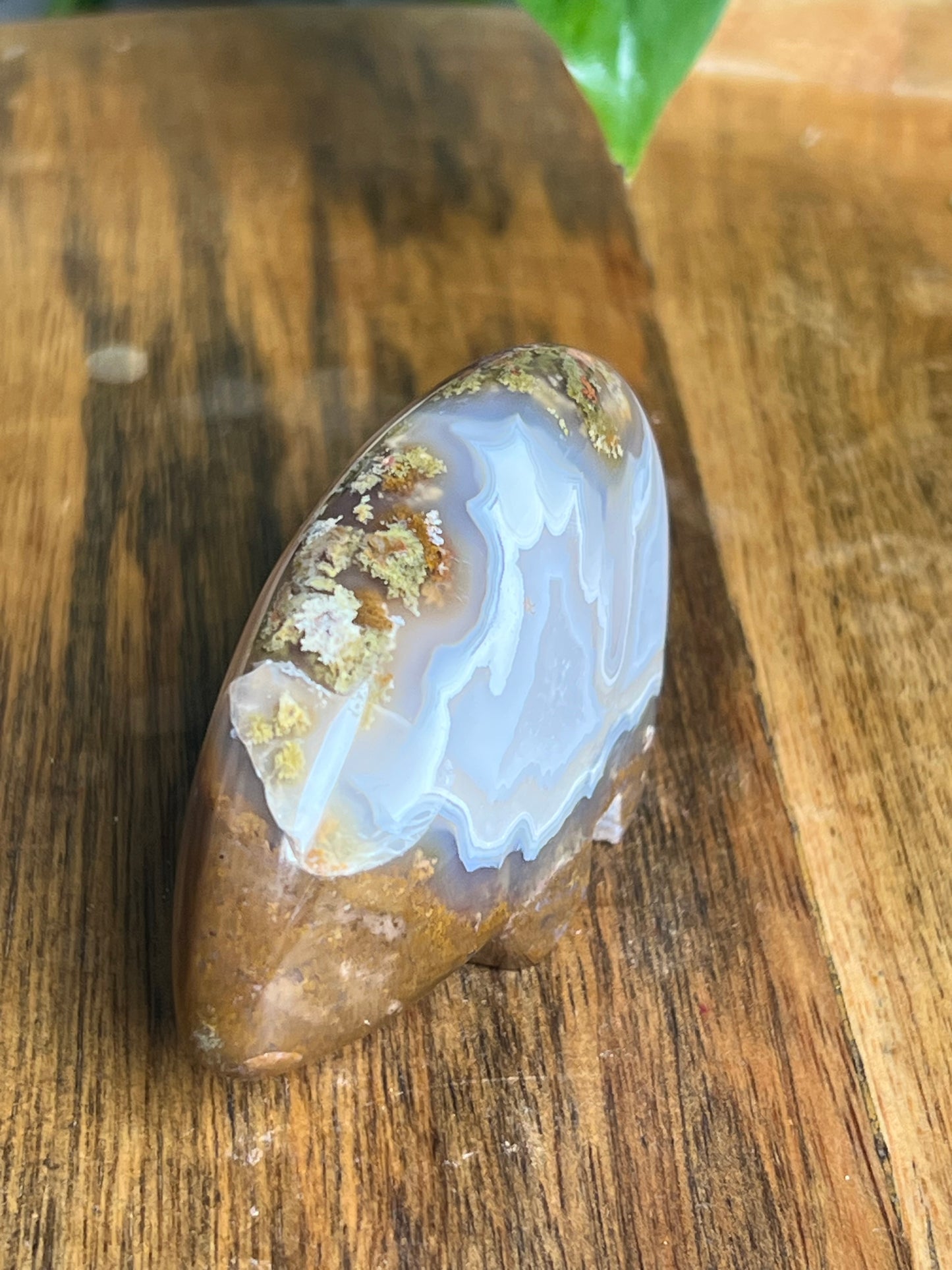 Scenic Moss Agate Bear HF