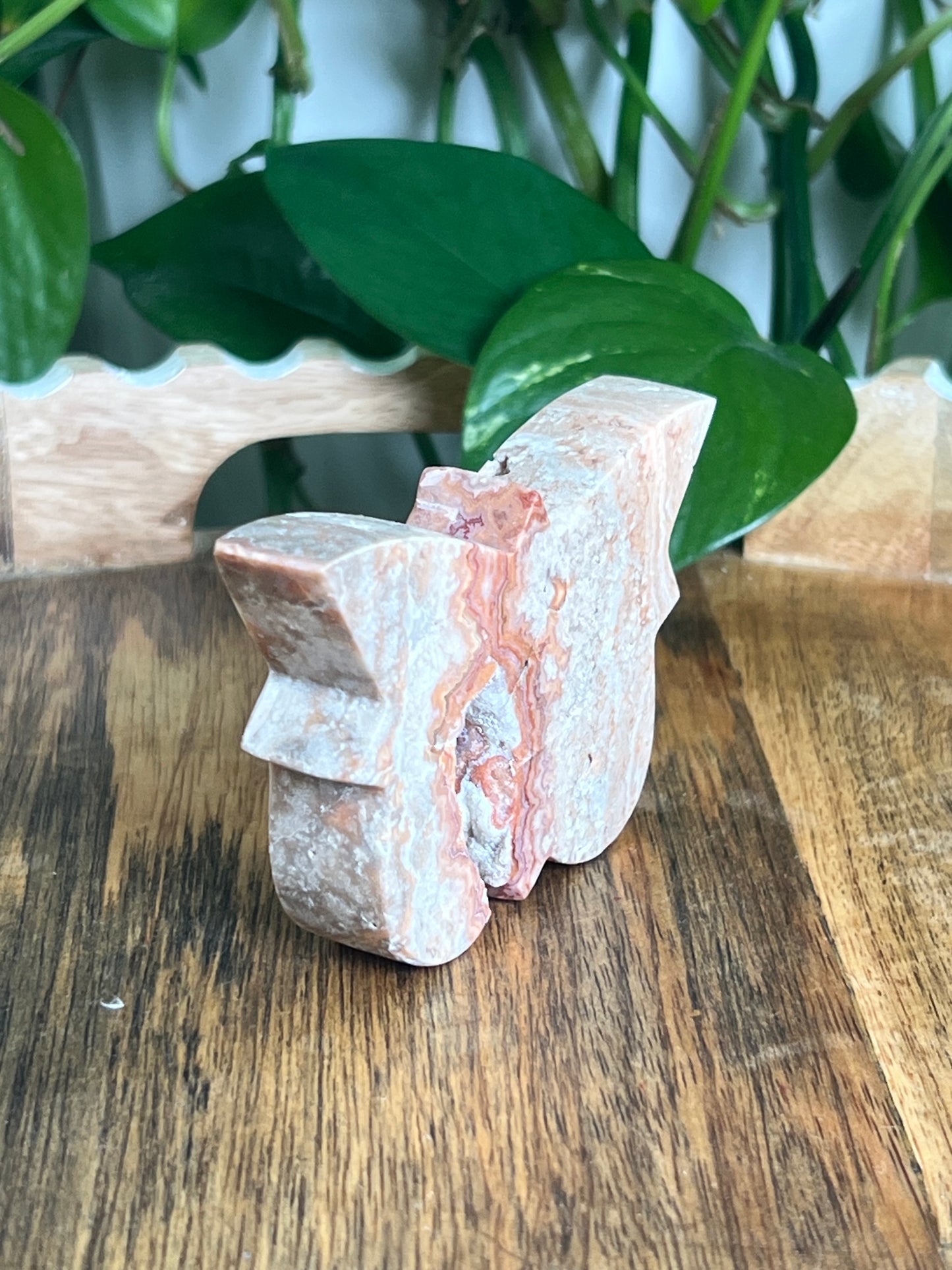 Crazy Lace Agate Butterfly: B