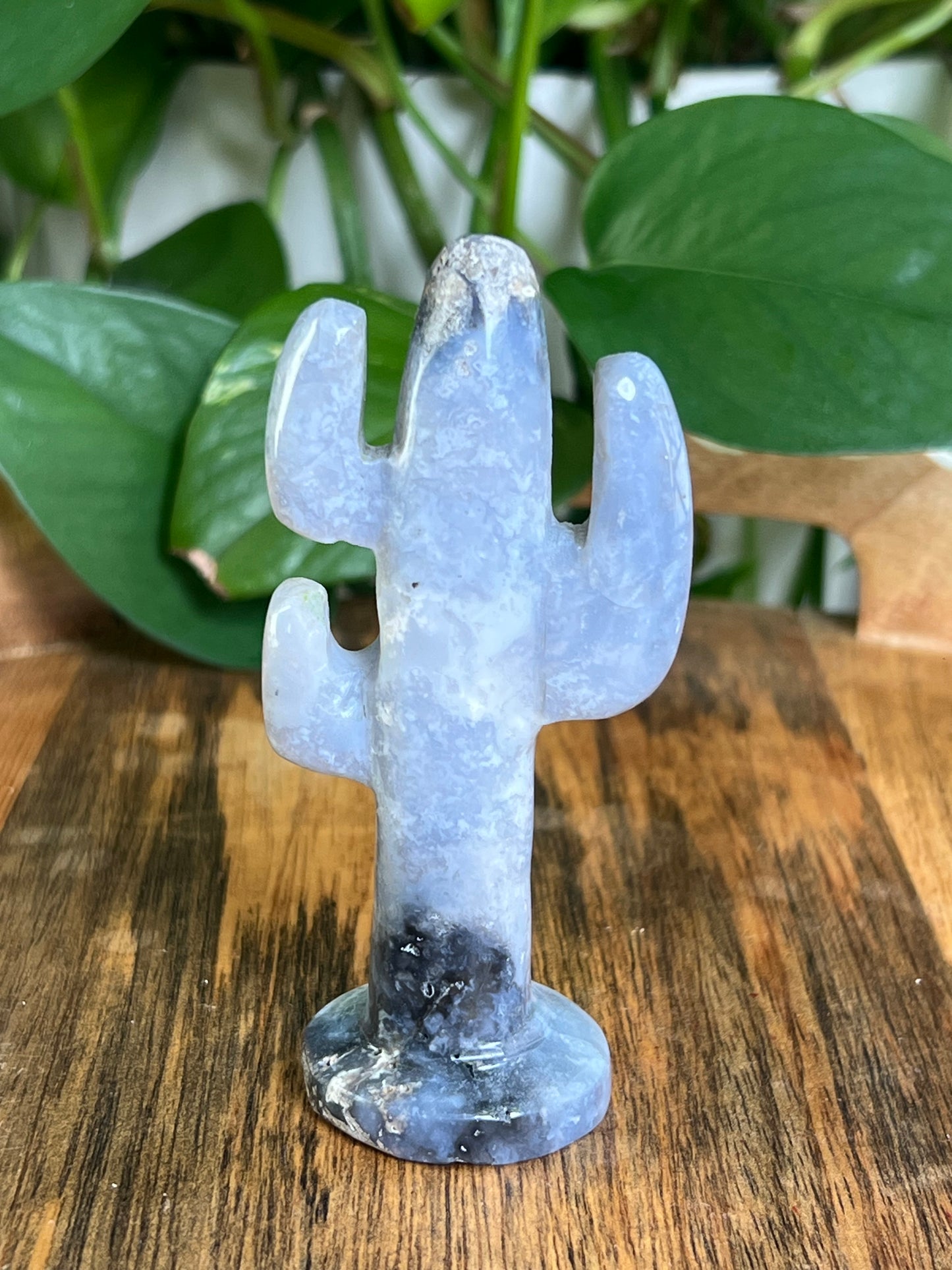 Blue Plume Agate Cactus: CC