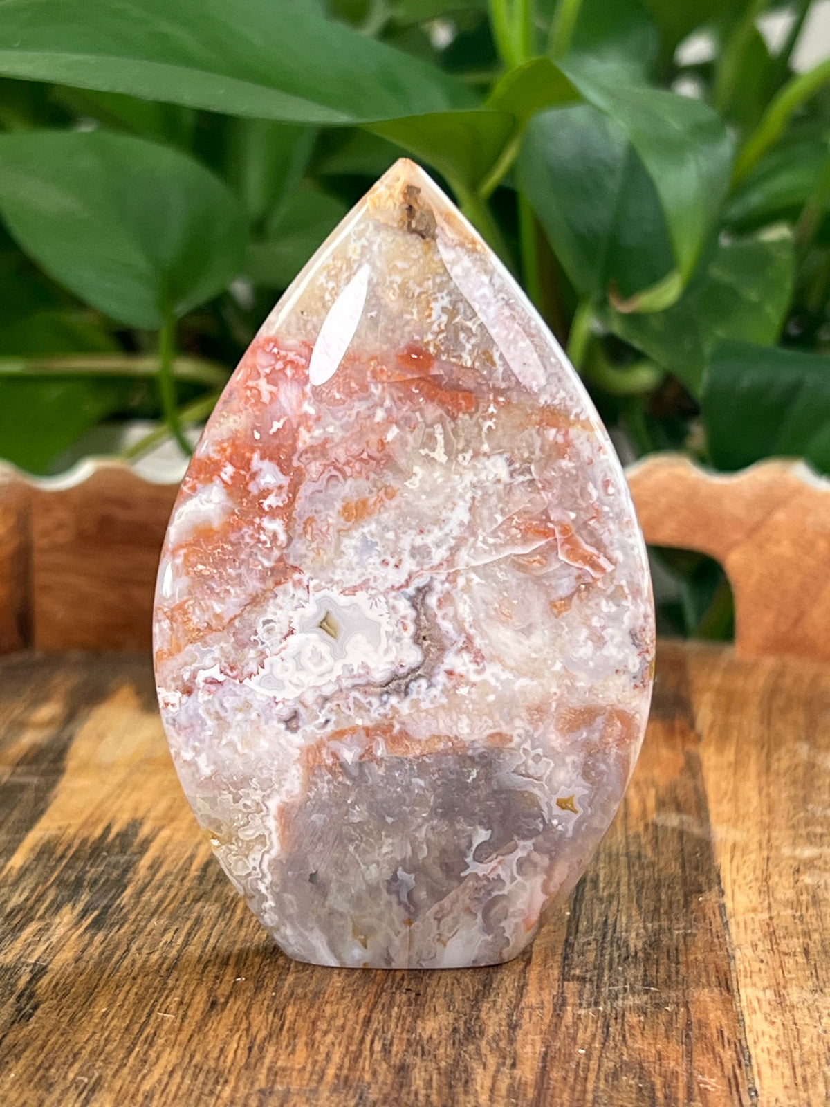 Sumatra Plume Agate Flames